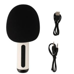 ไมโครโฟน TECHPRO Microphone Speaker