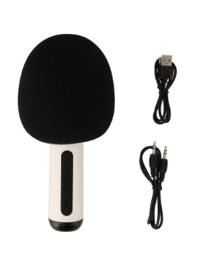ไมโครโฟน TECHPRO Microphone Speaker